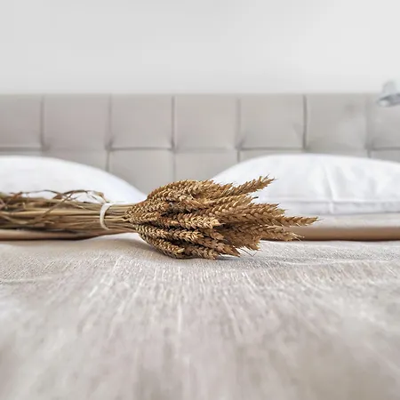 Oranda Village * Rogaska Slatina