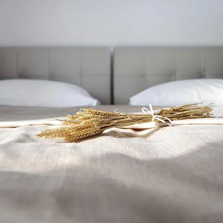 Apartment Oranda Village