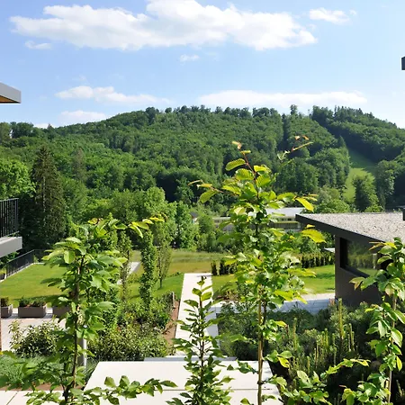 Oranda Village