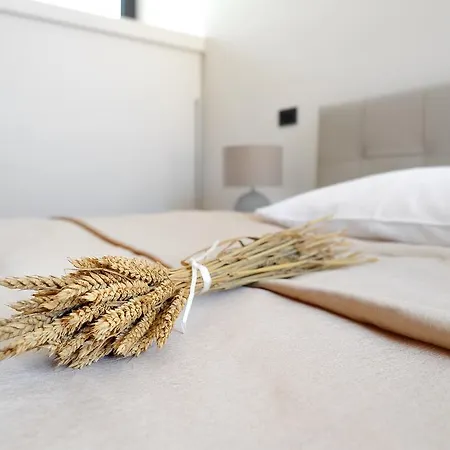 Apartament Oranda Village