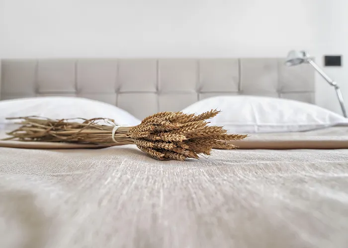 Oranda Village * Rogaška Slatina