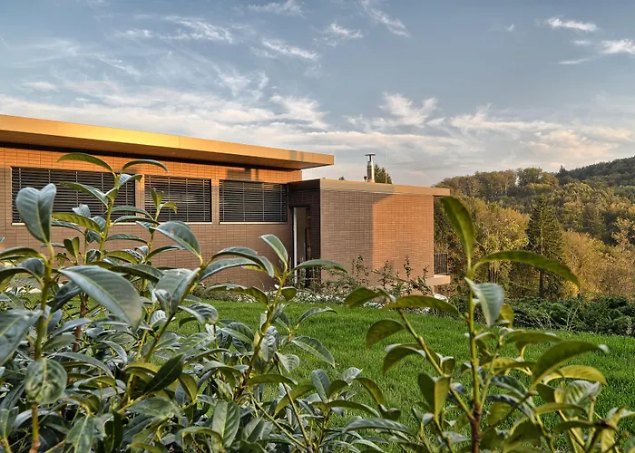 Apartment Oranda Village *