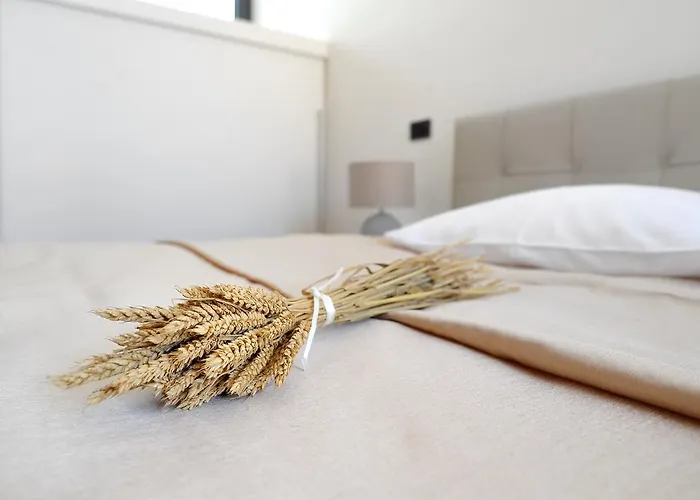 Appartement Oranda Village